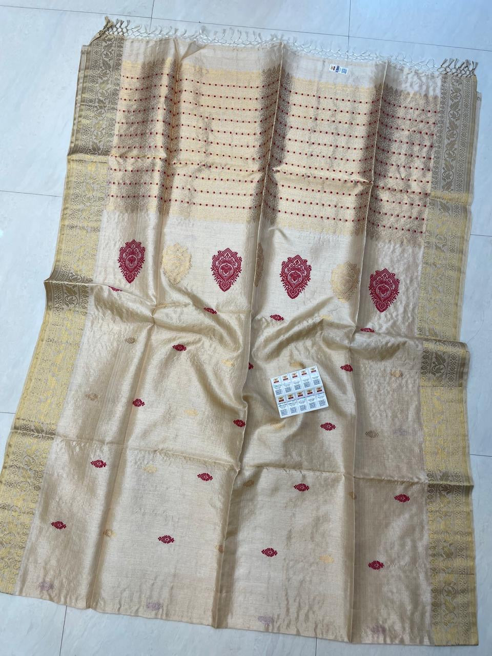 Pihu Meena (Saree)
