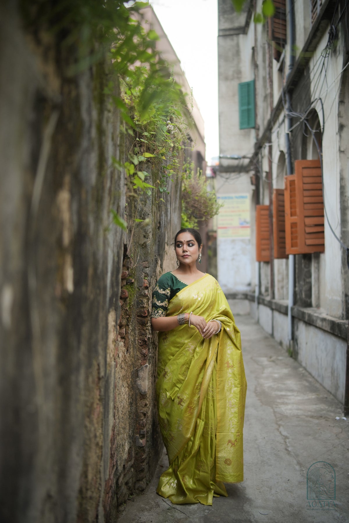 Padmavati (Saree)